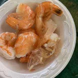 Shrimp