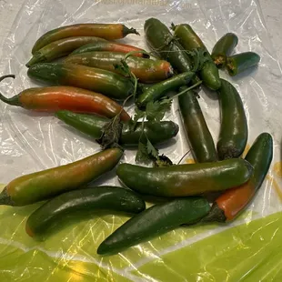 a bunch of peppers on a plastic bag