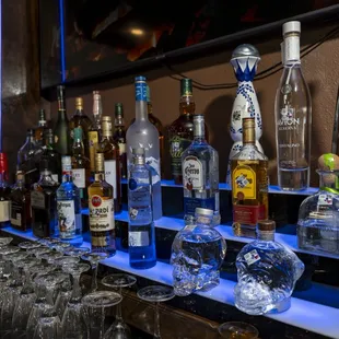 oysters and mussels, interior