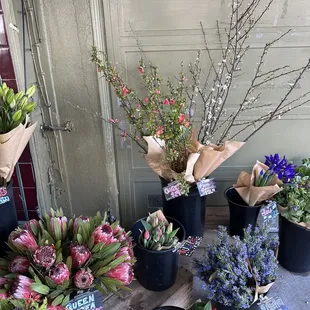 a variety of flowers in buckets