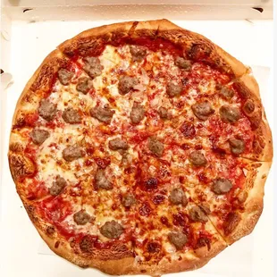 Large Sausage&amp;Onion Pizza