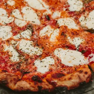 wood fire margherita pizza