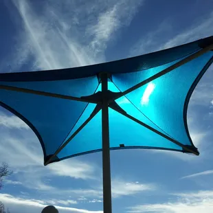 Look! Over here! Shade! Wait, over here!