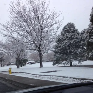 I love my park. It has a great downhill slope when it snows for sledding.