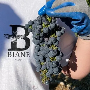 Grapes from the Cucamonga Valley