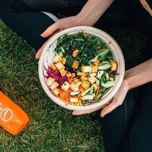 food, salads, salad