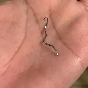 Piece of metal on the plate