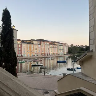 The view
