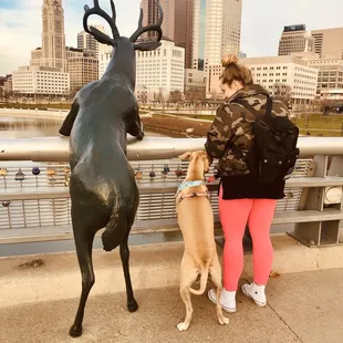 Such a cute park to walk thru