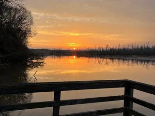 Cumberland Marsh Natural Area Preserve