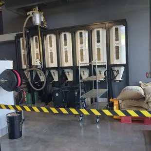 Green coffee beans for roasting