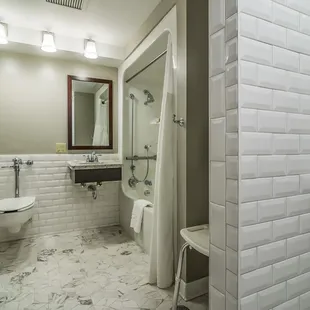 2017 Accessible Bath with Roll In Shower