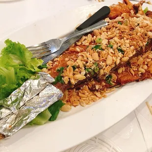 Medium grilled cat grilled