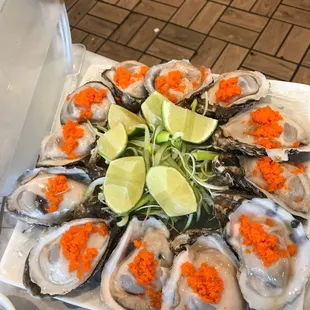 food, oysters and mussels, mussels, shellfish, oysters