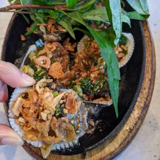 Blood Cockle Grilled with Buttered Green Onions