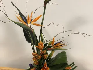 Waldo Greenhouse aka Angelo's Nursery