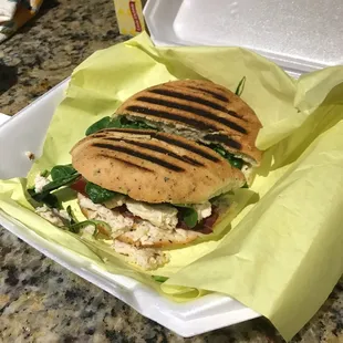 Chicken Alfredo grilled panini