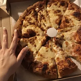 Smallest "Large" pizza I've ever seen in my life. $16.