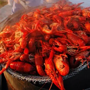Boiled Crawfish!