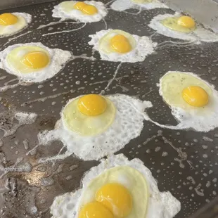 Eggs