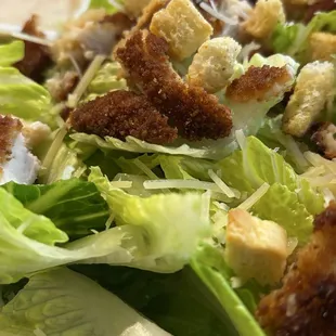 Crispy chicken Caesar salad