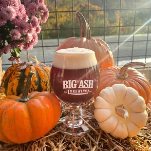 Pumpkin Chuck Brown Ale is back on tap!