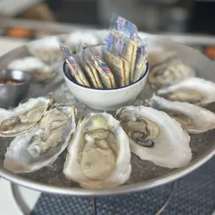 Oysters