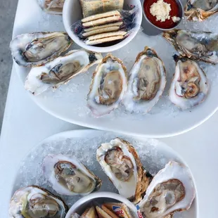 A dozen &amp; half a dozen raw oysters (happy hour) @tiffhuangry