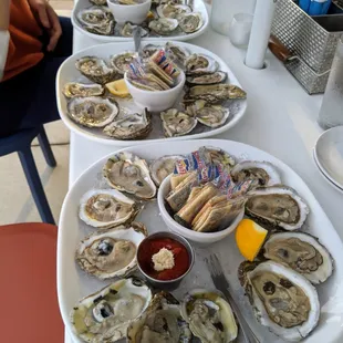 Oysters on the Half Shell