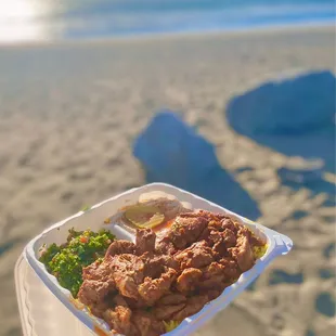 Chicken Shawarma Plate with rice (08/2022)