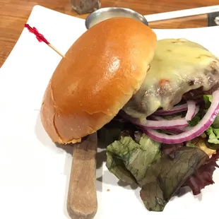 Bison Burger