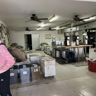 a woman standing in a kitchen