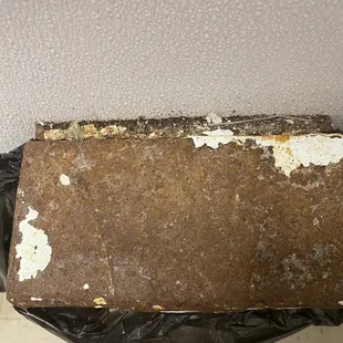 Ladies restroom feminine product container