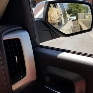 In the drive up window