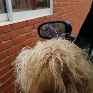 Duke at the drive thru. Pozole time again
