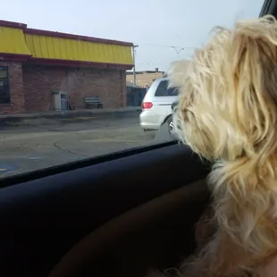 Pozole from the drive thru again with Duke