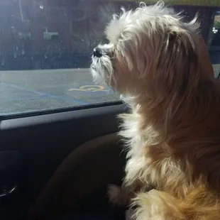 Waiting @ the drive thru window.