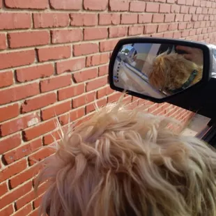 Drive up window