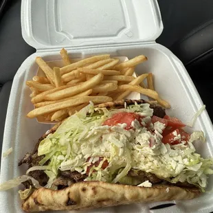 Souvlaki Sandwich - solid option, loved the fries too