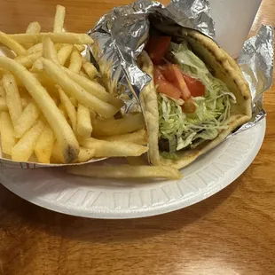 Gyro Sandwich with fries