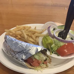 Gyro Plate