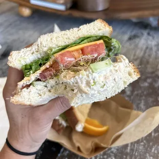 Tuna Sammie 5/11/24