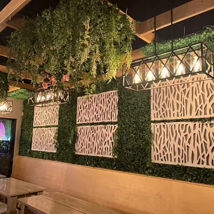 ramen and noodles, outside