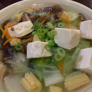 Vegetable Noodle Soup