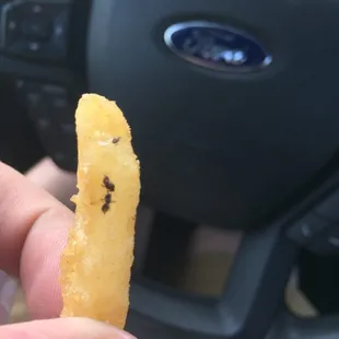 Bugs, lots of them. Glad I was eating while driving and didnt notice until i ate a majority... freakin sick