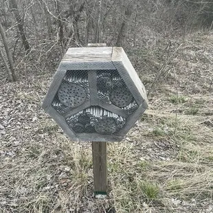 Someone tell me what animal/insect these house - couple along the trails!