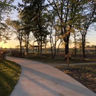Walking trail looking back at playground