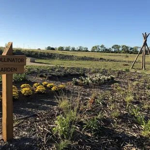 Pollinator garden next to shelter