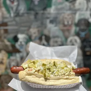a person holding a hot dog