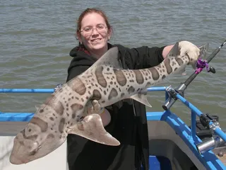 Flash Sport Fishing Charters